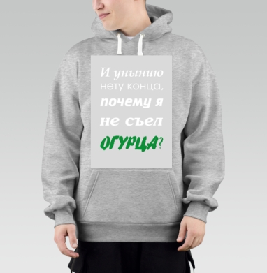 Ироничный постер «Почему я не съел огурца?», Толстовка Mjhigh–Mel, утепленная