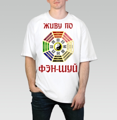 Схема Багуа для гармонии и фэн-шуй, Футболка / Мужчинам / Оверсайз / Белая / C принтом