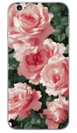Пышный бесшовный паттерн с цветением роз - Виниловые наклейки на iPhone 6 plus - купить в Москве, страница 3