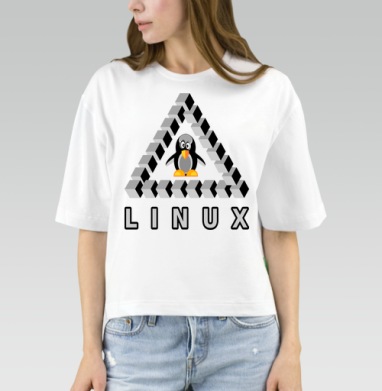 Пингвин на треугольнике Пенроуза с надписью Linux Линукс, Футболка женская оверсайз Mido