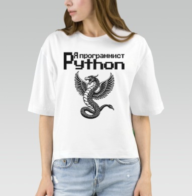 Мощный монохромный крылатый змей символизирует программист Python принт, Футболка женская оверсайз Mido