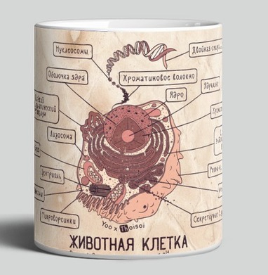 Животная клетка в ретро - Yoo – мерч на миллион