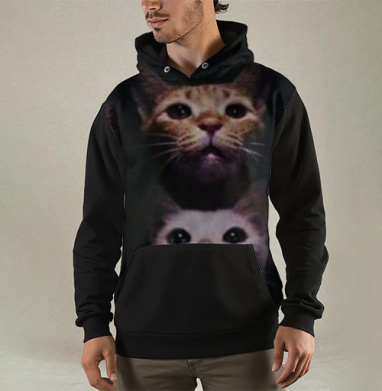 Кошачая рапсодия, Толстовка мужская Regular 3D