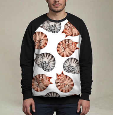 Спящий котик, Свитшот мужской 3D / хлопок