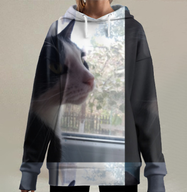 Феликс лучший друг., Hoodie Long Oversize 3D
