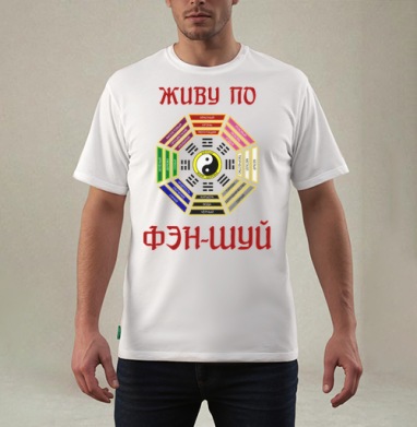 Схема Багуа для гармонии и фэн-шуй, Футболка мужская REGULAR белая