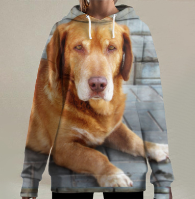 Коричневая собака лежит спокойно на тротуаре городской среды, Hoodie Long Oversize 3D