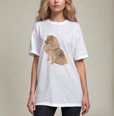 Шпиц немецкий и померанский яркое оформление веселое настроение, Футболка / Унисекс / Оверсайз / Белая / C принтом