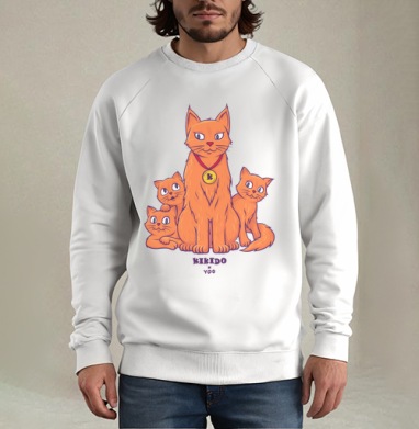 Коты и Котята, Свитшот мужской белый