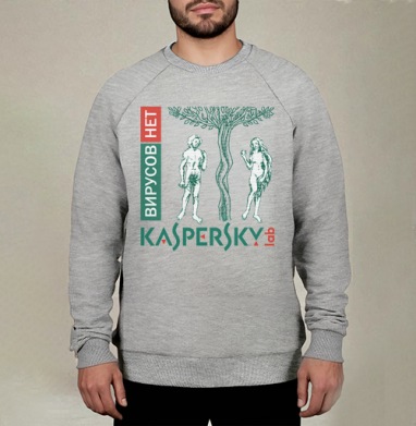 Символика первородного греха в стиле Kaspersky, Свитшот мужской меланж начес/петля