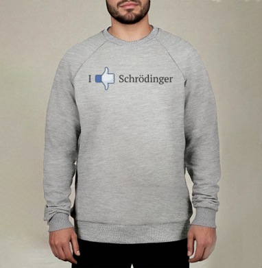 Футболка с мемом Schrödinger Like - Магазин футболок limmm - Дизайнерские принты