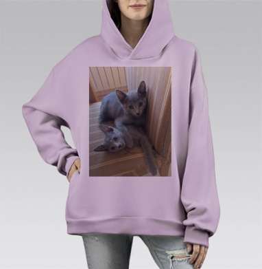 Два милых серых котенка на уютном кресле, Hoodie Mono Fiolet, оверсайз, утепленная