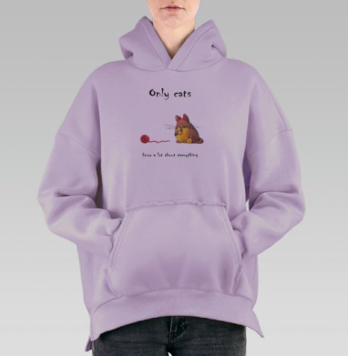 Только котики знают все, Hoodie Oversize Fiolet, утепленная
