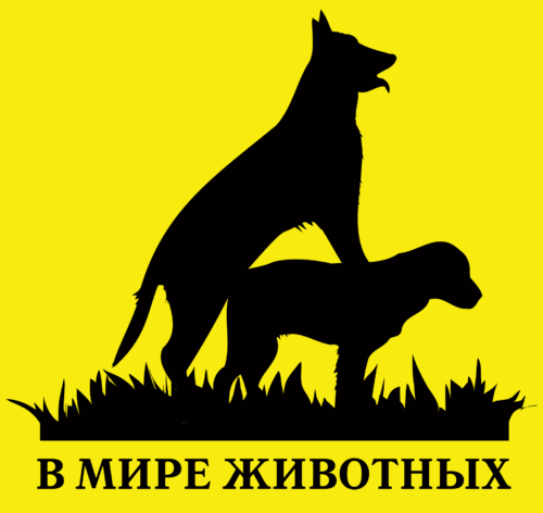 Силуэты собак на траве в мире животных - Принты для парней, страница 29 