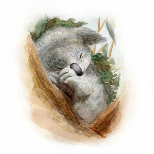 Спящий коала - Магазин футболок fb-726158970854983 - Дизайнерские принты