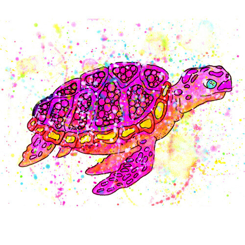 Turtle  / Черепаха - N&W