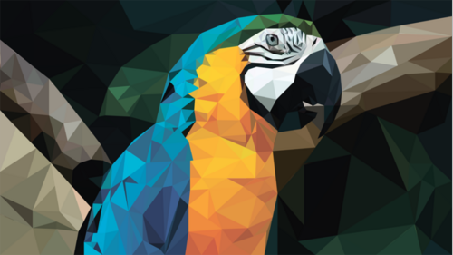 Parrot For Your Soul / Попугай для вашей души - Магазин футболок MagdaGideon - Дизайнерские принты