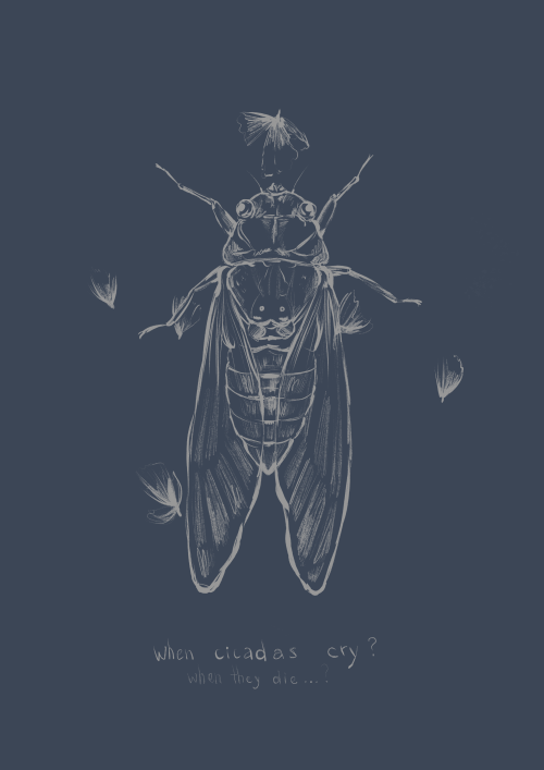 Цикада - Магазин футболок AkifoxyEd - Дизайнерские принты