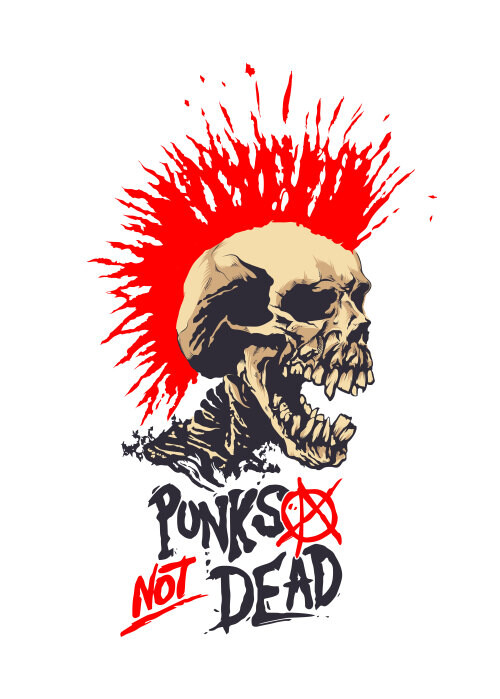 Агрессивный череп с красным ирокезом «Punks Not Dead» - Принты для парней, страница 9 