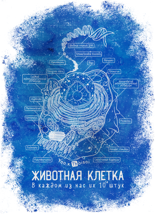 Животная клетка в голубом - Yoo – мерч на миллион