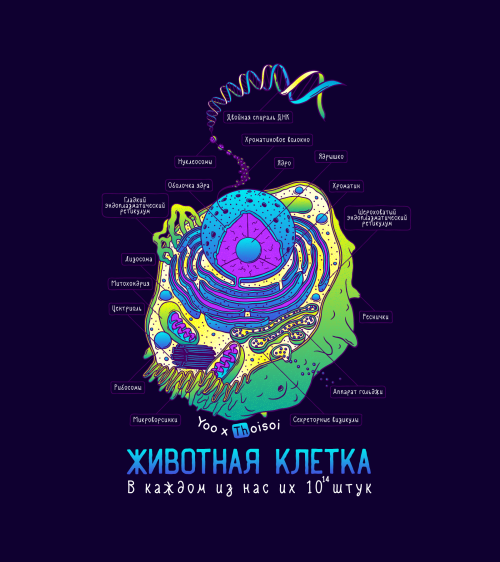 Животная клетка в цвете - Принты для девушек, страница 5 