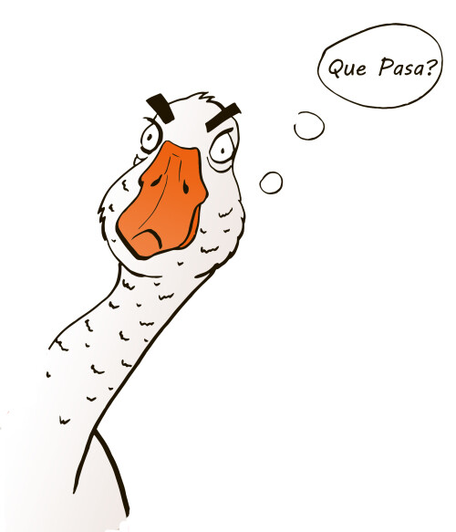 Любопытный Гусь - Магазин футболок Nastya-sova - Дизайнерские принты