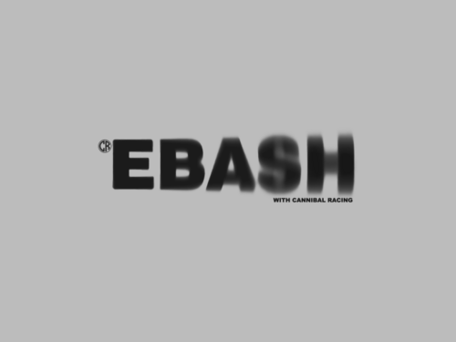 EBASH с эффектом движения и логотипом Cannibal Racing - Принты для парней, страница 8 