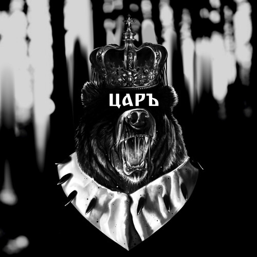 Грозный медведь царь с короной и мантией - Принты для парней, страница 6 