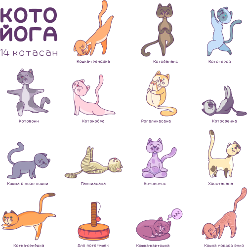Котойога - Принты для девушек 