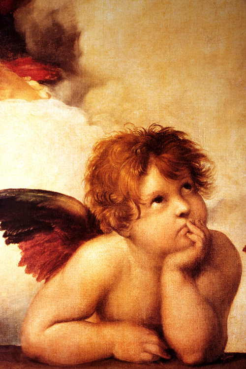 Sistine Madonna / Сикстинская Мадонна херувим в задумчивом виде спокойствия и уюта - Магазин футболок shrimp - Дизайнерские принты