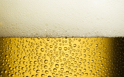 Beer / Пиво Белая шапка янтарная жидкость в бокале свежего светлого пива - Магазин футболок adog - Дизайнерские принты