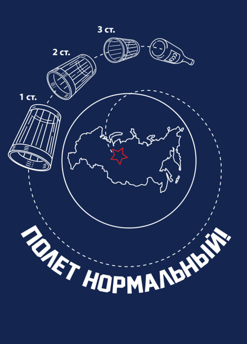 Ироничная схема «ПОЛЕТ НОРМАЛЬНЫЙ!» с водкой - Принты для парней, страница 20 